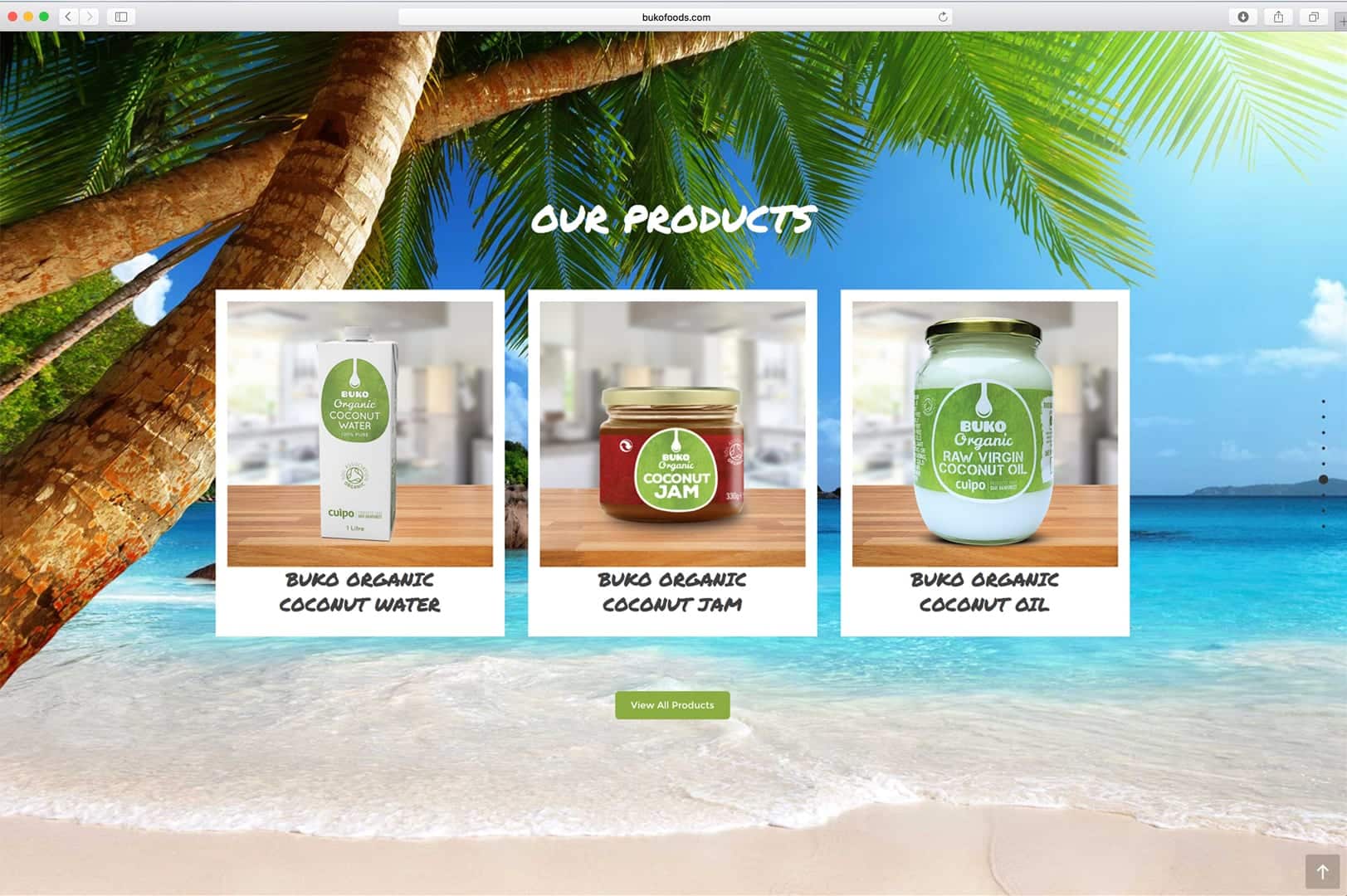 Web page design for Buko Foods Uk
